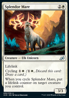 Splendor Mare